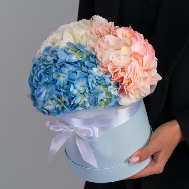 Красочная композиция из 3 гортензий в шляпной коробке (цвет на выбор) Красочная композиция из 3 гортензий в шляпной коробке (цвет на выбор)