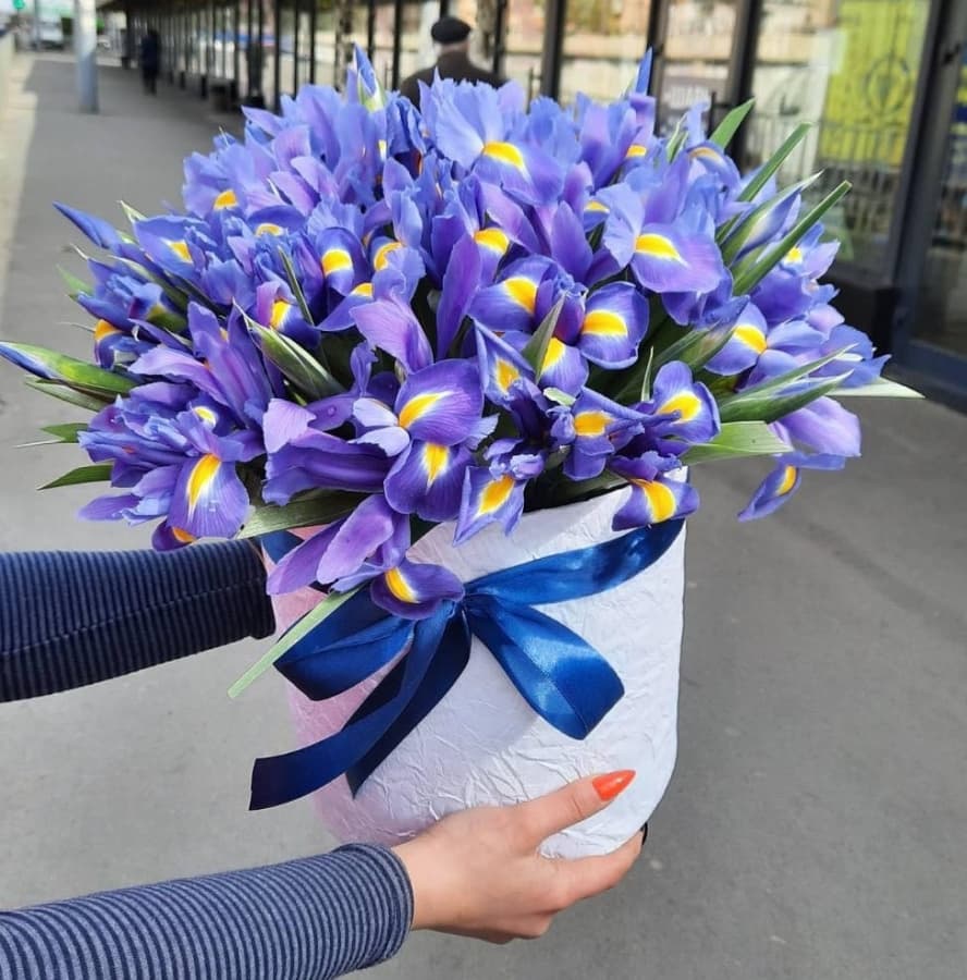 35 ирисов в шляпной коробке