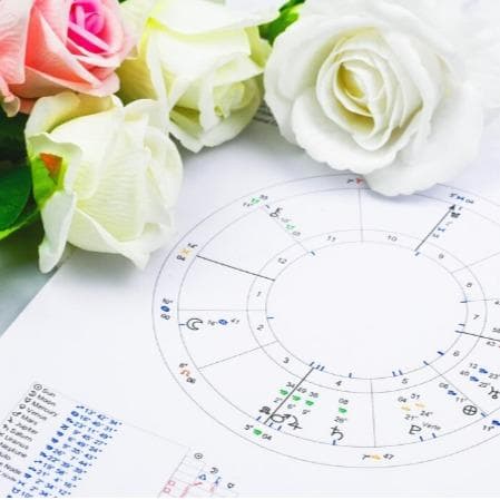 Цветы по знаку зодиака: как выбрать идеальный букет Цветы по знаку зодиака: как выбрать идеальный букет