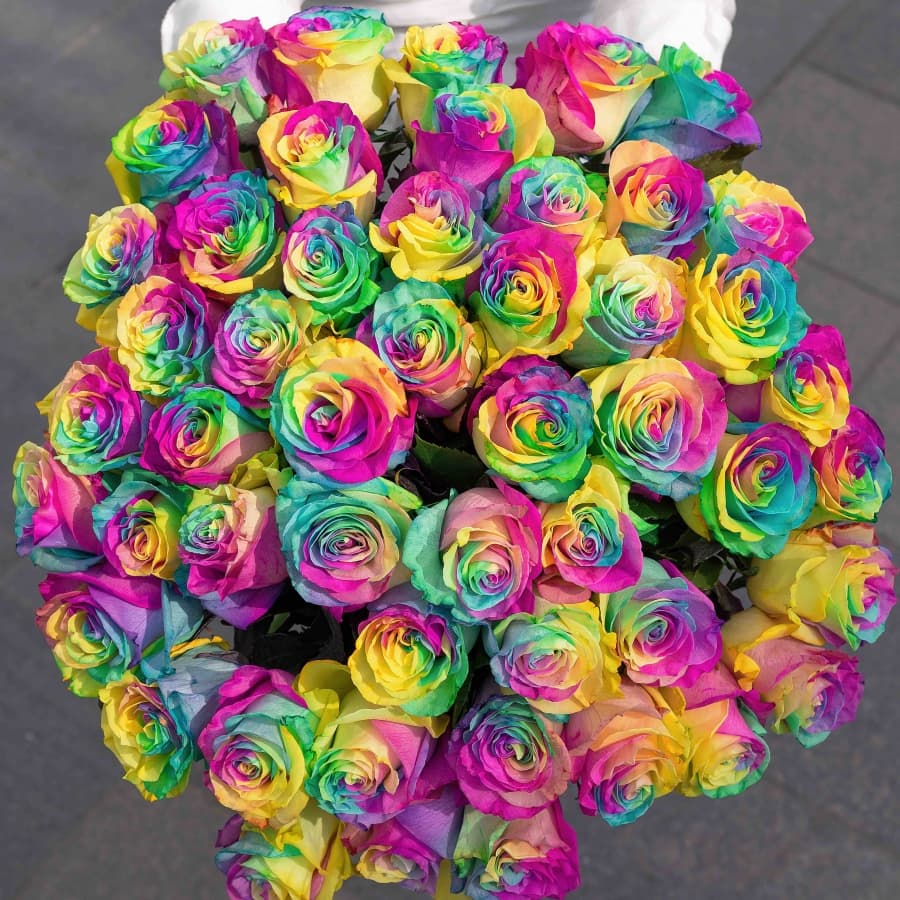 51 Радужная Роза