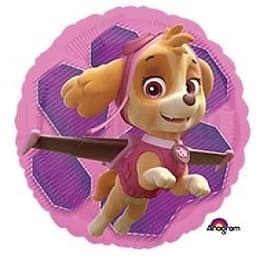 A 18" Щенячий Патруль Скай и Эверест/AN/