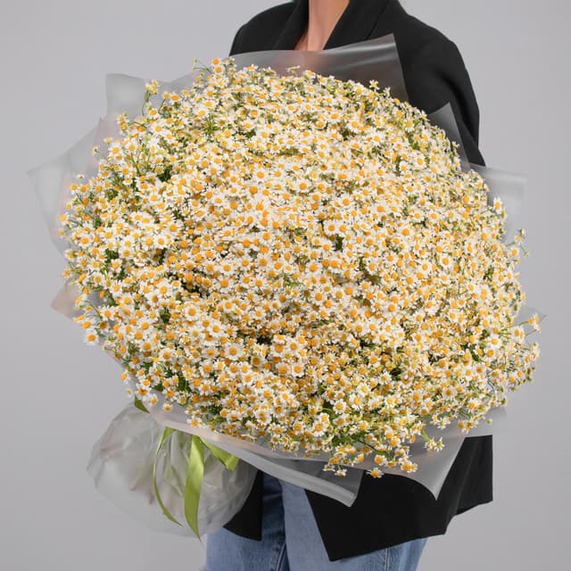 Букет 151 Ромашка Кустовая Букет 151 Ромашка Кустовая