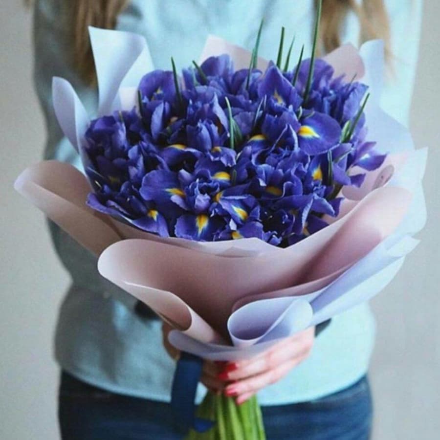 Букет 21 Ирис в матовой бумаге
