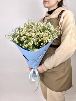 Букет 21 Кустовая Ромашка