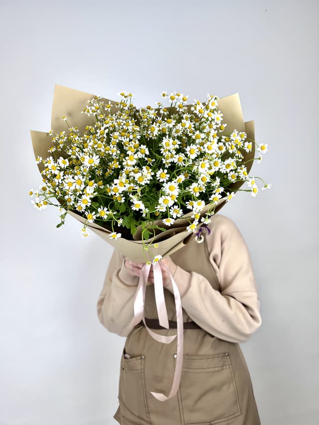 Букет 25 Кустовых Ромашек в матовой бумаге Букет 25 Кустовых Ромашек в матовой бумаге