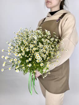 Весенний букет 25 Кустовых Ромашек