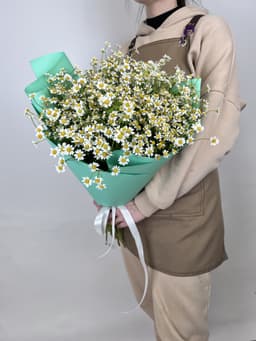 Красочный букет 35 Кустовых Ромашек в матовой бумаге