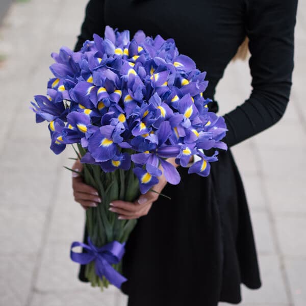 Букет 45 ирисов