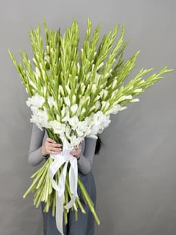 Букет 51 Гладиолус