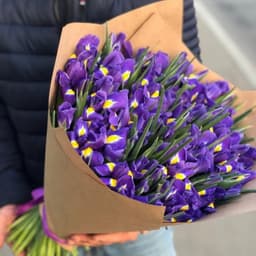Букет 51 Ириса в крафте