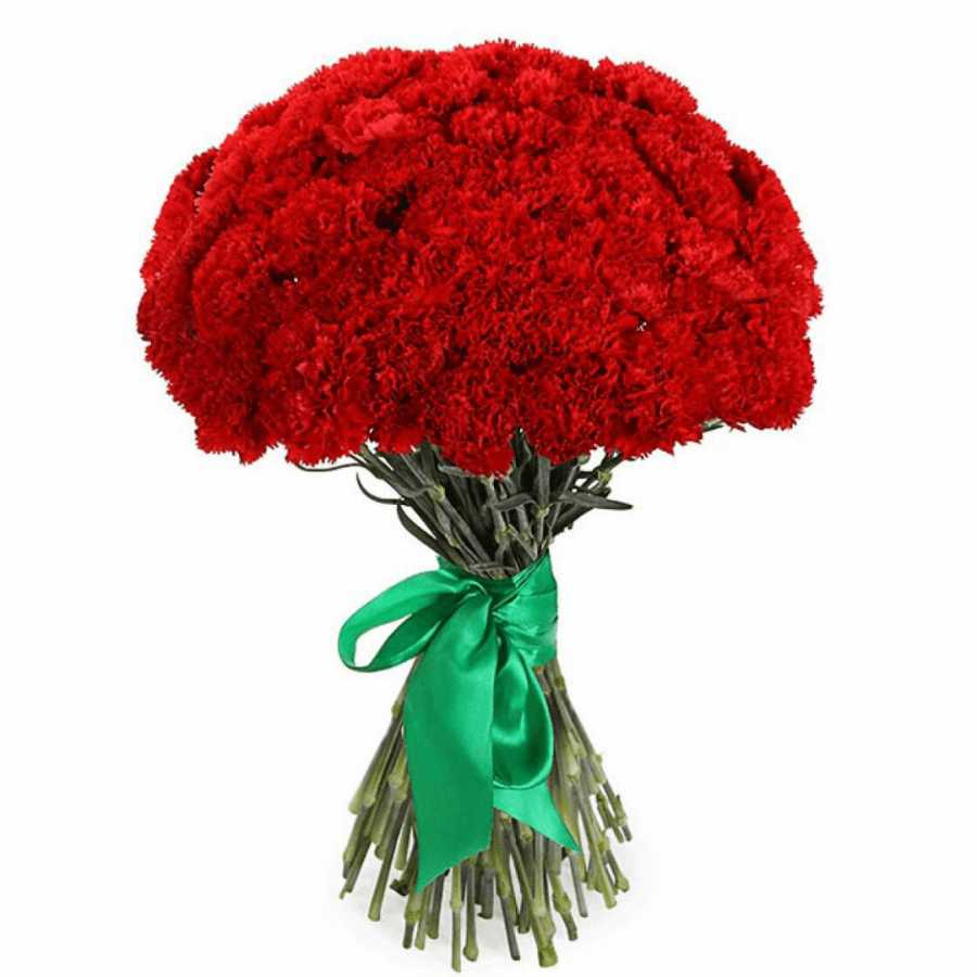 Праздничный букет 75 Красных Гвоздик
