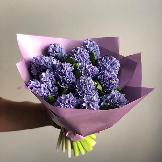 Букет из 13 Гиацинтов в матовой бумаге Букет из 13 Гиацинтов в матовой бумаге