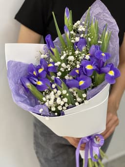 Букет из 13 Ирисов с Гипсофилой