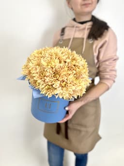 Букет из 15 цветных хризантем в шляпной коробке