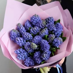 Букет из 23 Гиацинта в матовой бумаге