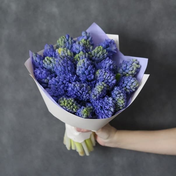 Букет из 25 Гиацинтов в матовой бумаге