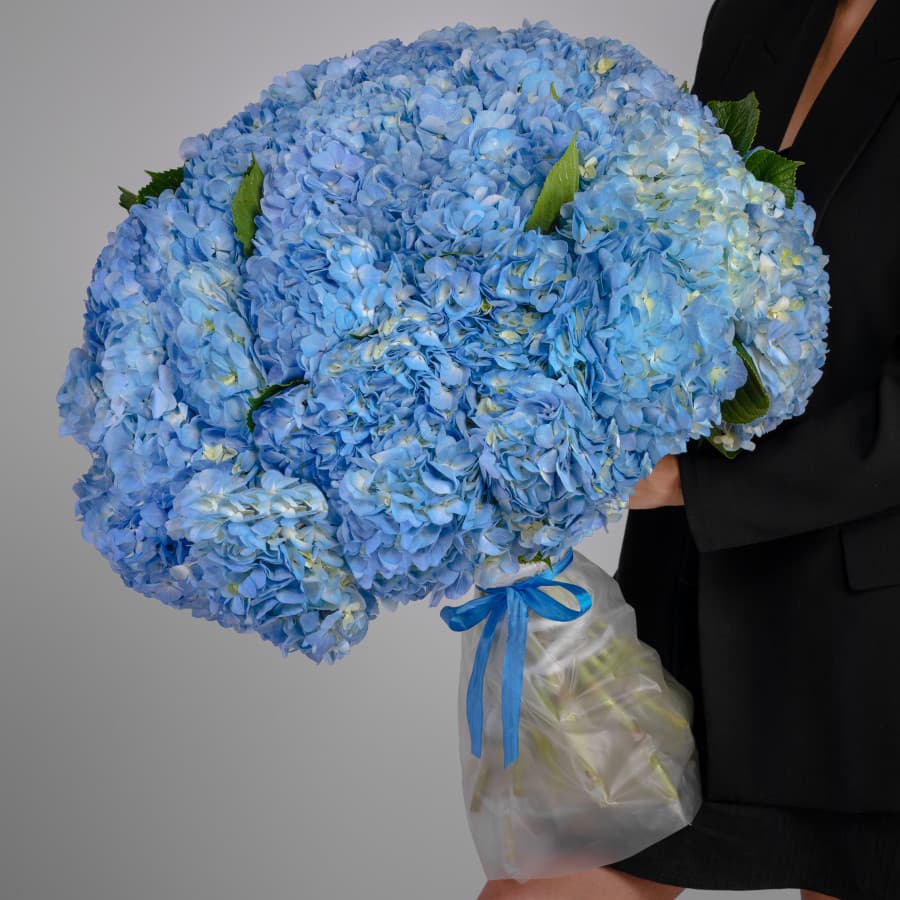 Стильный букет из 45 Гортензий в матовой бумаге