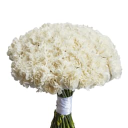 Дизайнерский букет из 51 белого диантуса