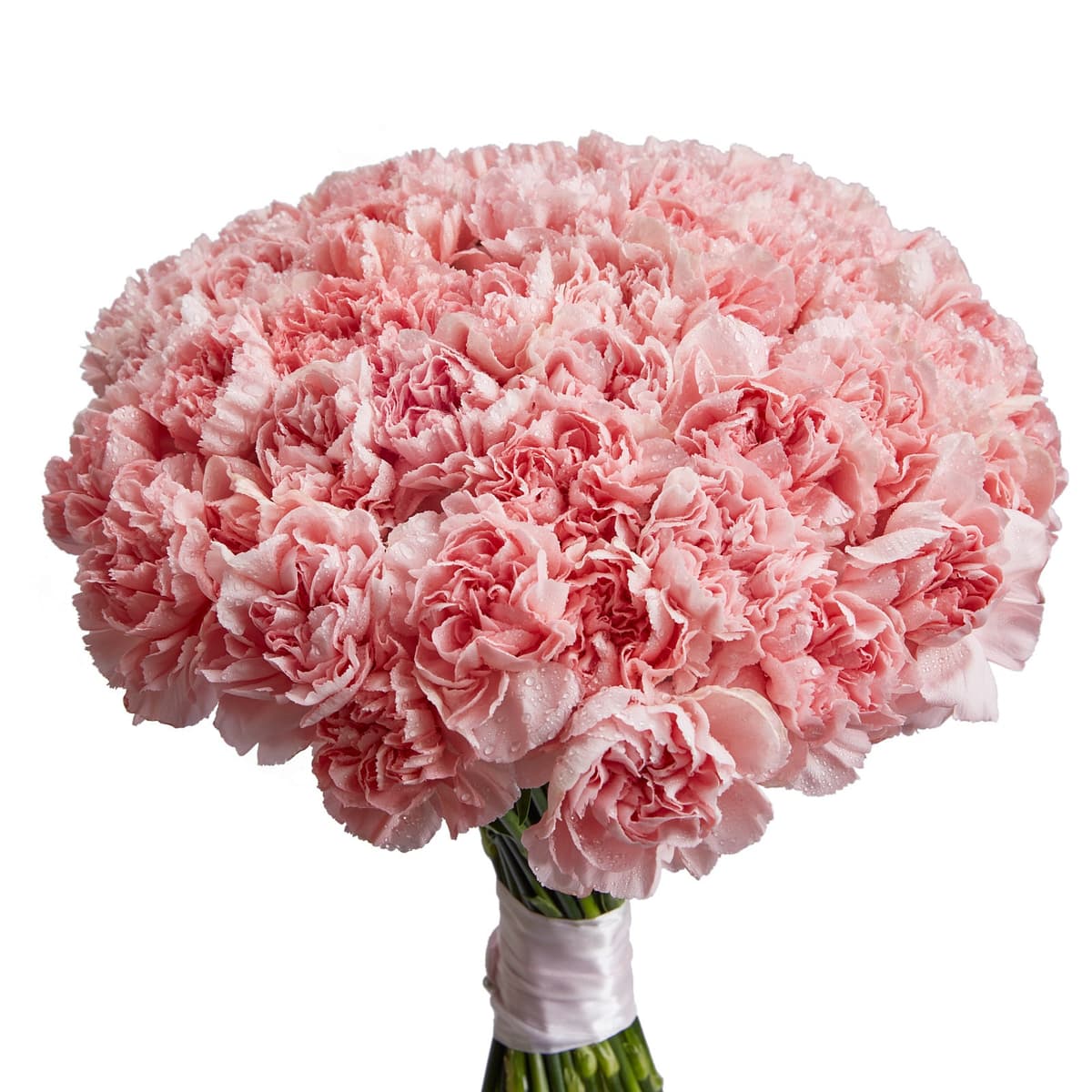 Цветочный букет из 51 розового диантуса