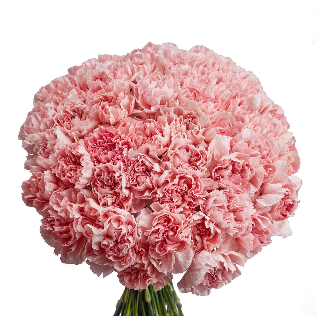 Цветочный букет из 51 розового диантуса