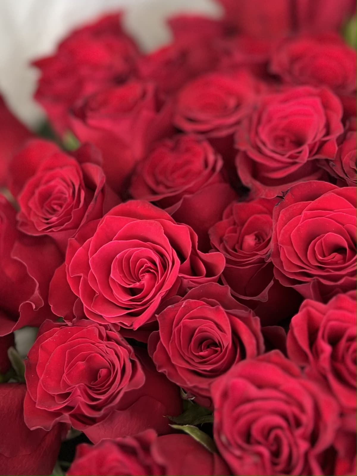 Классический букет из 51 стандартной красной розы в упаковке