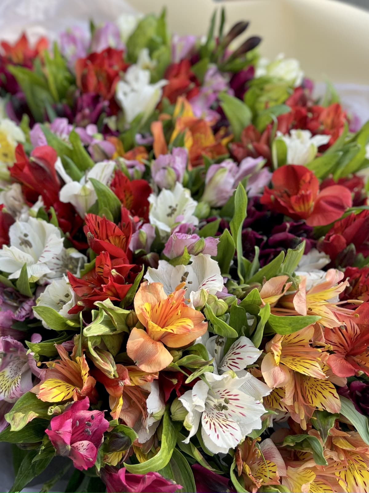 Классический букет из 55 Альстромерий микс в матовой бумаге