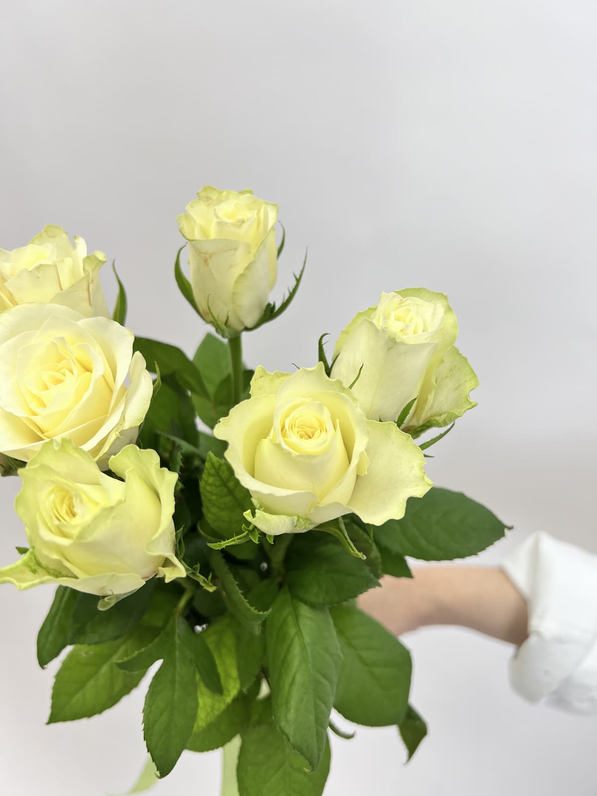 Букет из 7 белых роз стандарт 50 см