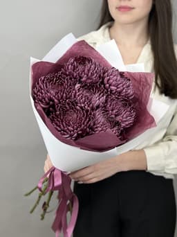 Букет из 7 фиолетовых хризантем Bigoudi