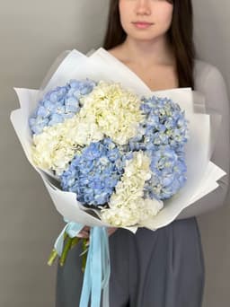 Праздничный букет из 7 гортензиий "Sky Blue"