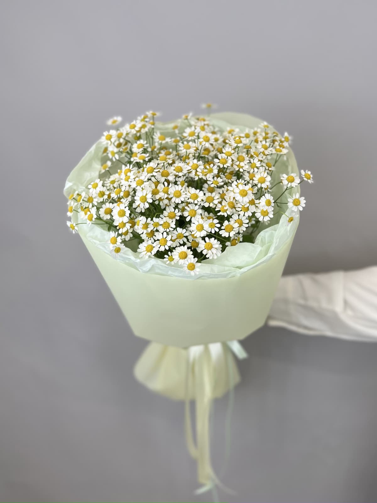 Букет из 7 полевых ромашек