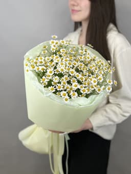 Букет из 7 полевых ромашек