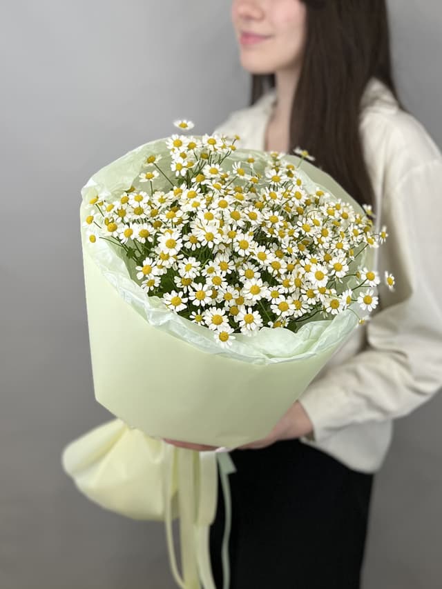 Букет из 7 полевых ромашек Букет из 7 полевых ромашек