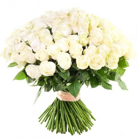 Букет из 75 роз 50 см Букет из 75 роз 50 см