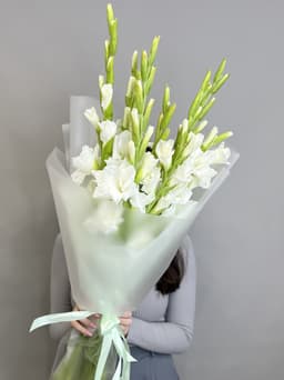 Букет из 9 Гладиолусов в матовой бумаге Уфа