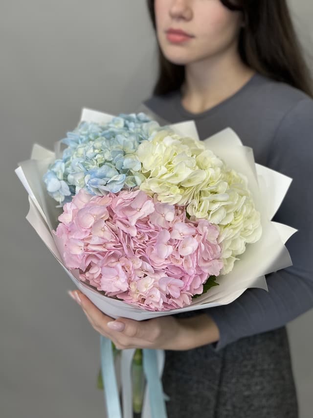 Букет из гортензии "Карамель" Букет из гортензии "Карамель"