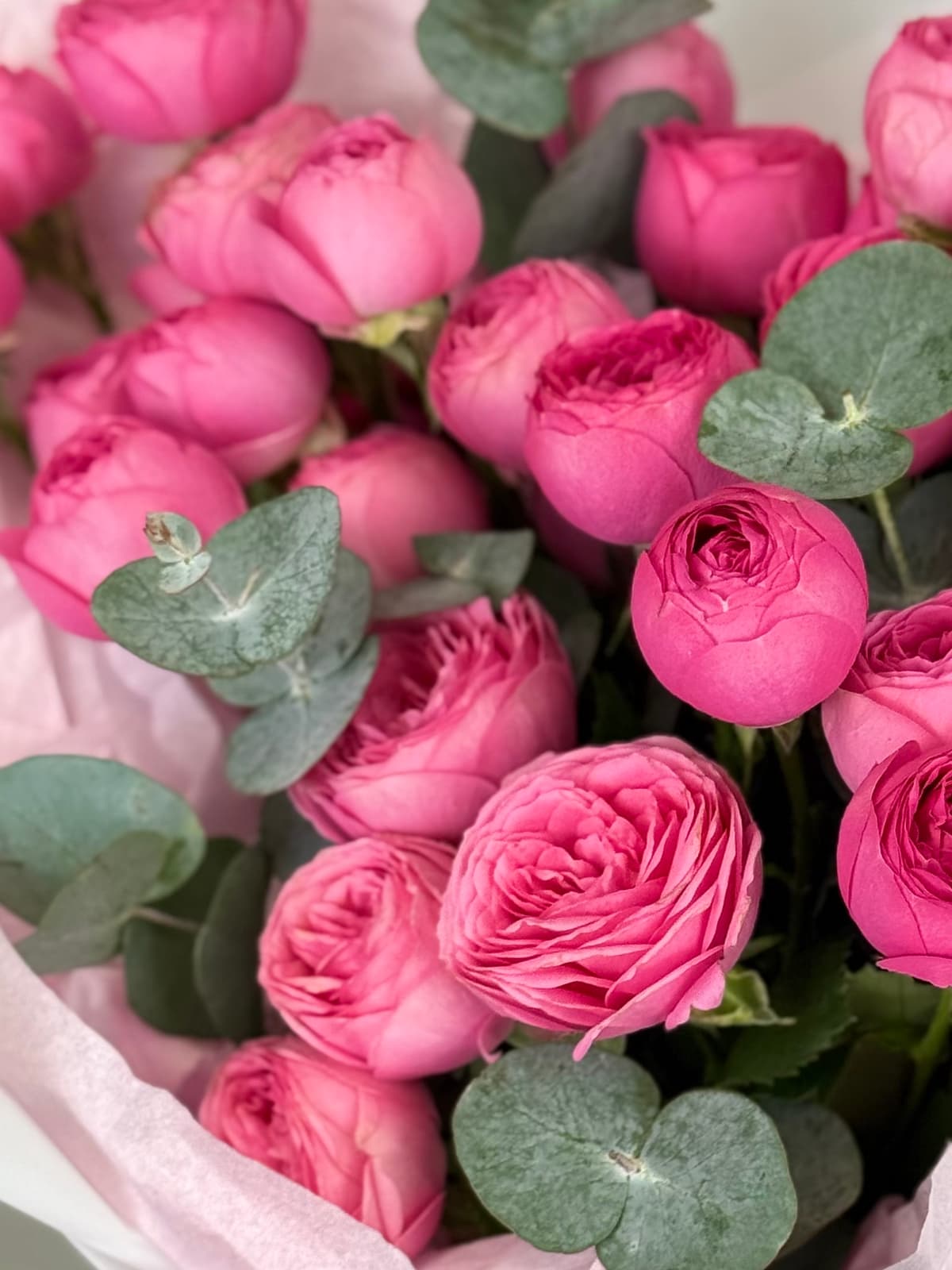 Букет из кустовых пионовидных роз "Ягодное конфи" S