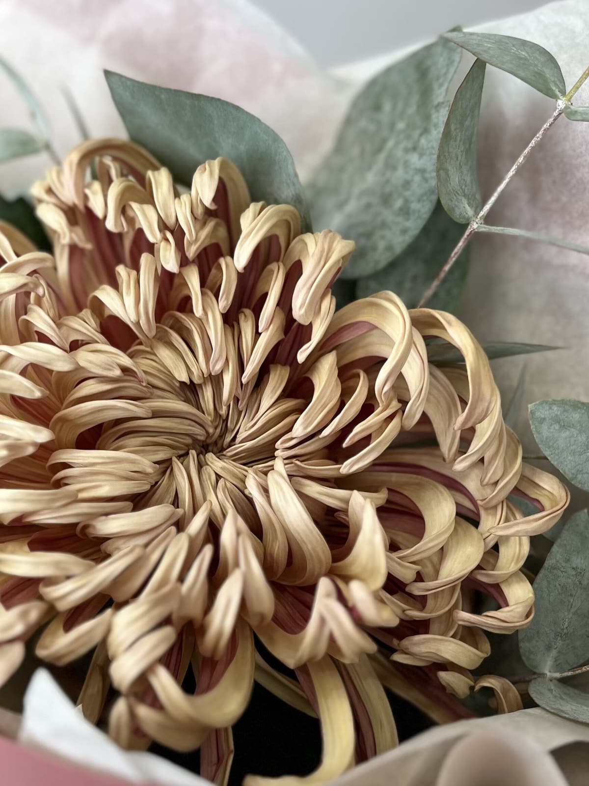 Оригинальный букет хризантем "Copper" S