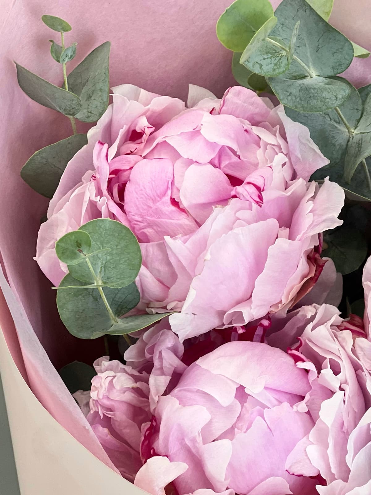 Букет-комплимент из пионов "Sara"