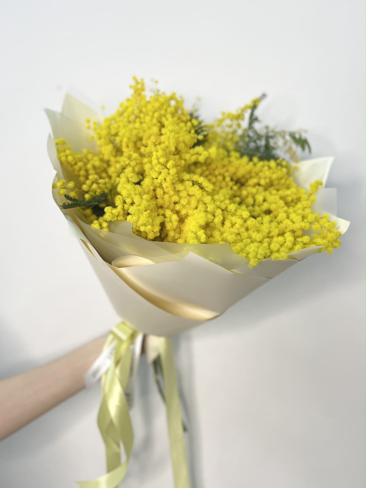 Красивый букет мимозы L