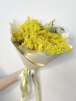 Красивый букет мимозы L