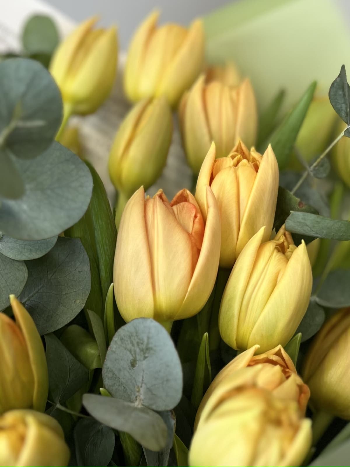 Букет пионовидных тюльпанов "Orca" S