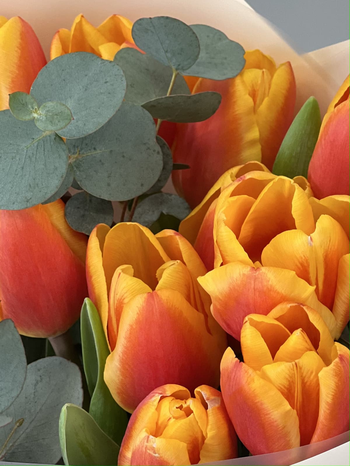 Букет тюльпанов "Nemo" L