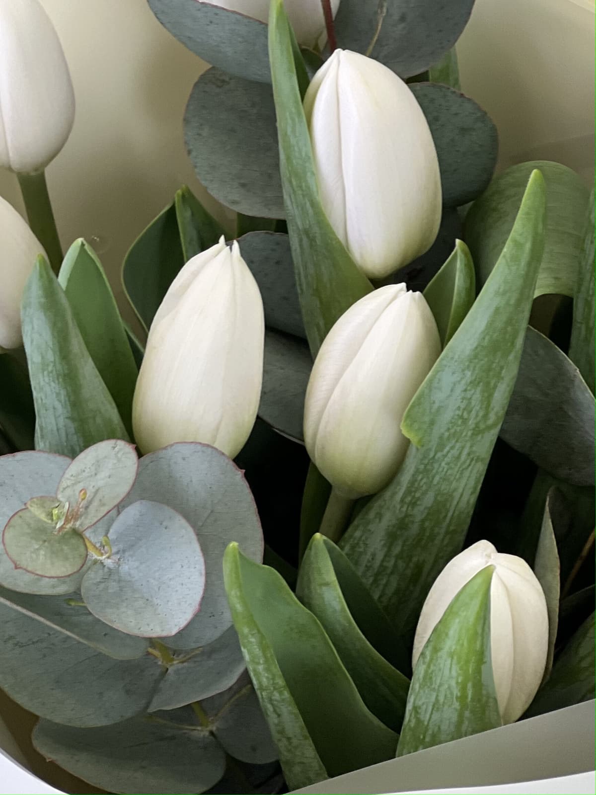 Популярный букет тюльпанов "Snowy" XXS