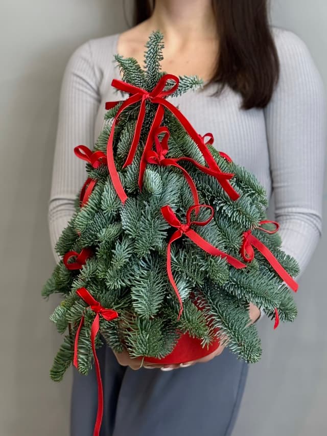 Елка "Red bow" Елка "Red bow"