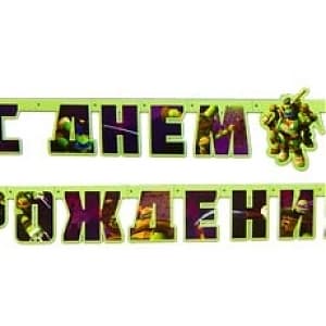 Гирл-буквы С ДР Черепашки-Ниндзя/206см/А