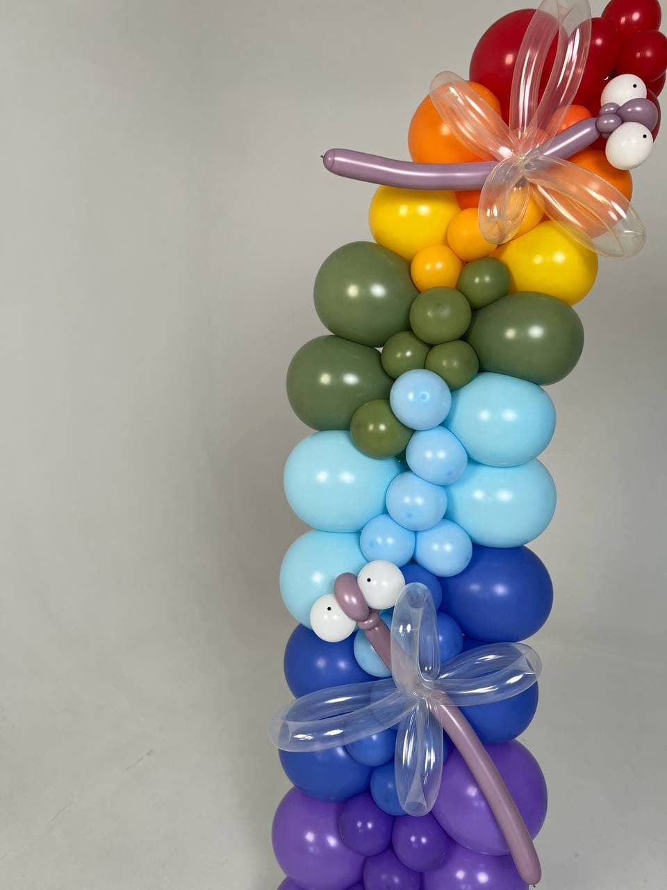 Гирлянда из шаров с воздухом «Радуга и стрекозы»