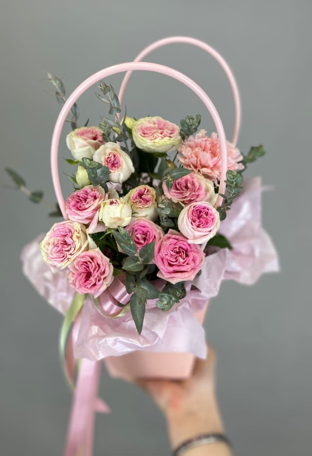 Композиции революционная 10611052 Композиции революционная 10611052