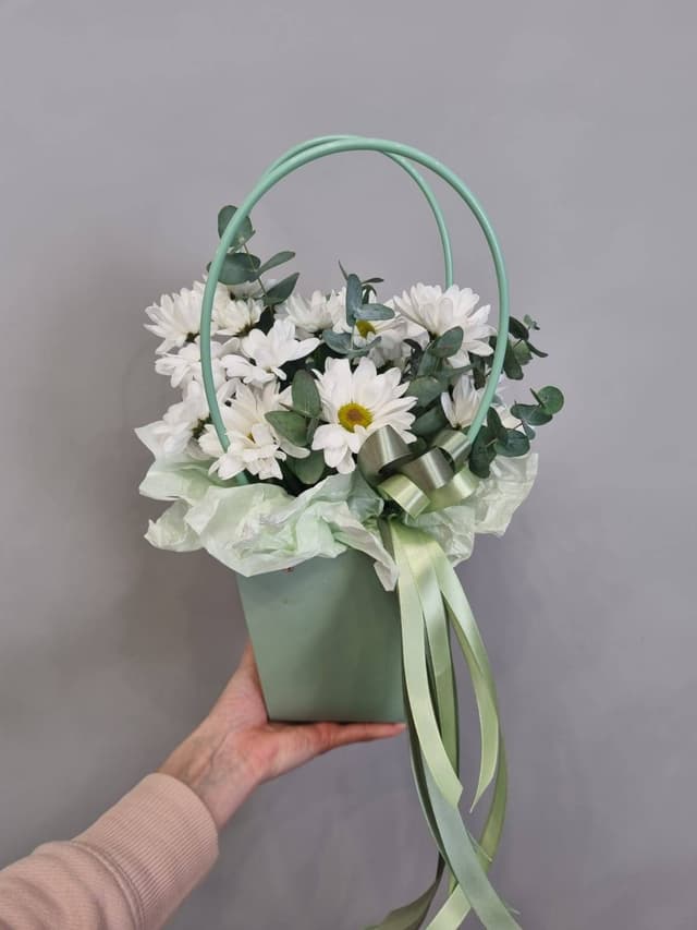 Композиции революционная 20512142 Композиции революционная 20512142