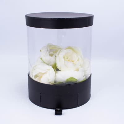 Коробка аквариум Черная 21*21*26.5см Коробка аквариум Черная 21*21*26.5см