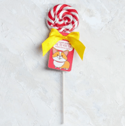 Леденец на палочке «Сладкий мальчик», 15 г